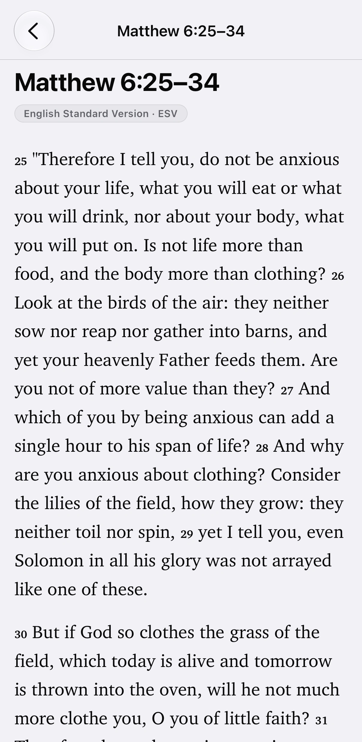 Matthew 6:25–34 on iPhone in the English Standard Version.